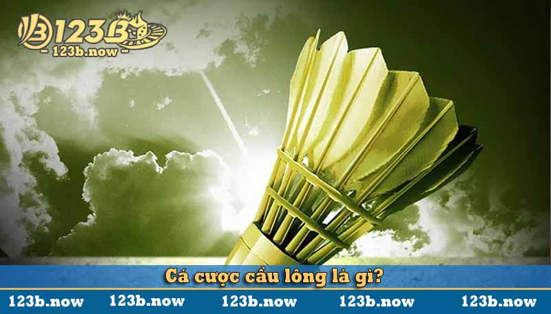 Cá cược cầu lông là gì?