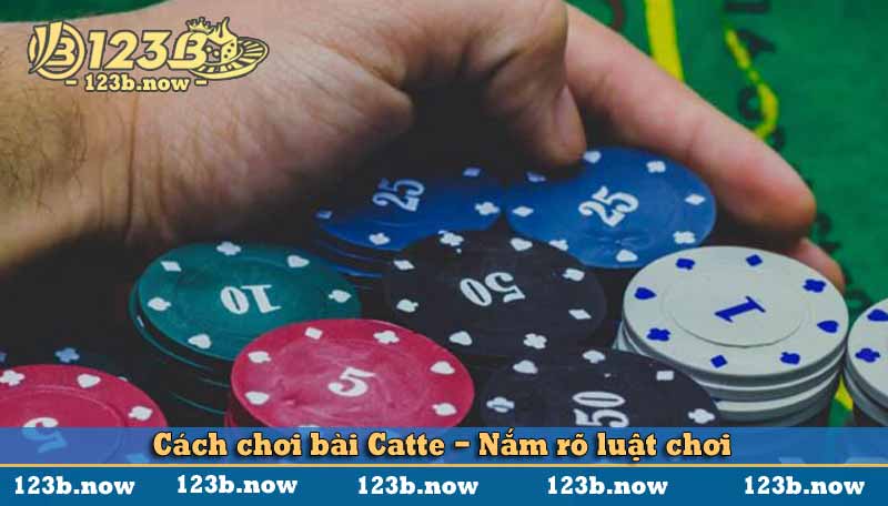 Cách chơi bài Catte - Nắm rõ luật chơi