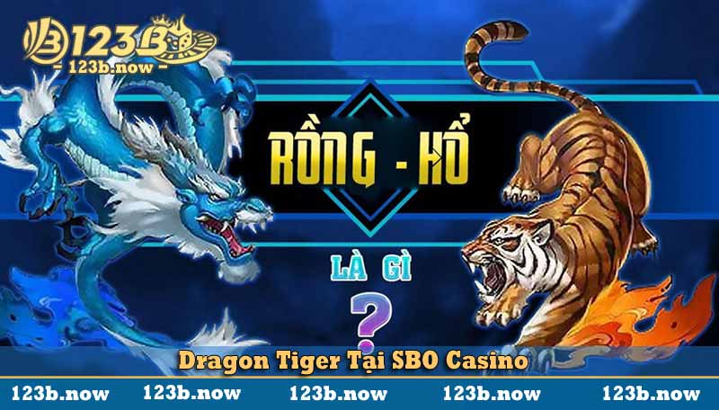 Dragon tiger tại sbo casino