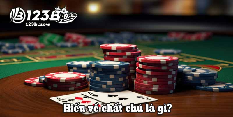 Hiểu về chất chủ là gì?