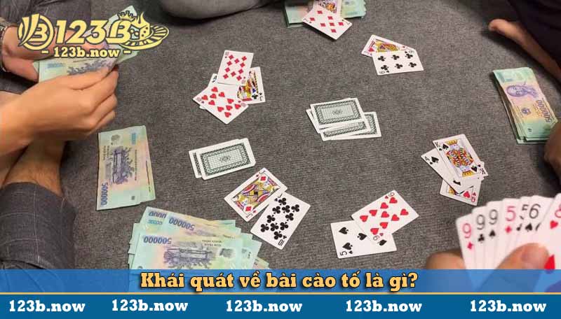 Khái quát về bài cào tố là gì?