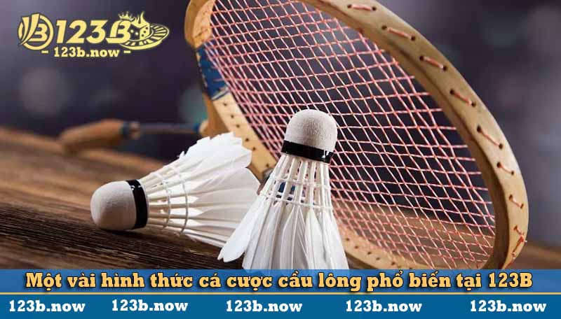 Một vài hình thức cá cược cầu lông phổ biến tại 123B