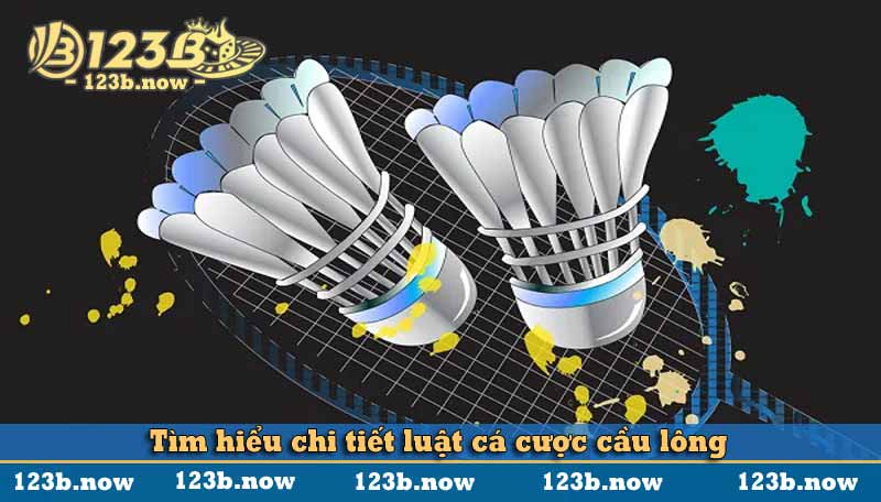 Tìm hiểu chi tiết luật cá cược cầu lông