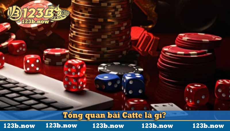 Tổng quan bài Catte là gì?