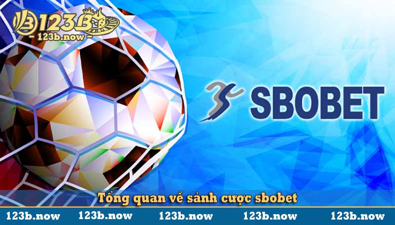 Tổng quan về sảnh cược sbobet